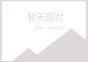 山西夏彤服务有限公司